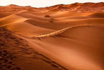 Le désert Tunisien